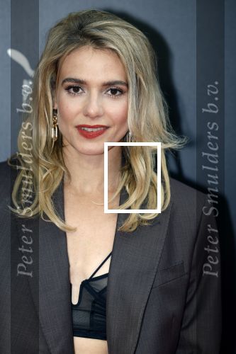 Amsterdam 11 september 2023
Premiere de Vuurlinie in Thuschinski Amsterdam . Sallie Harmsen