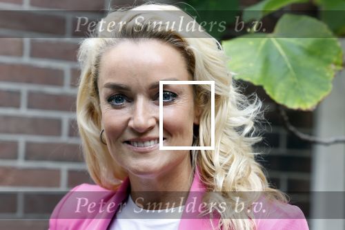 Amsterdam 4 september 2023
Boek presentatie Heleen v Royen bij het college Hotel. Samantha Steenwijk met partner Daisy