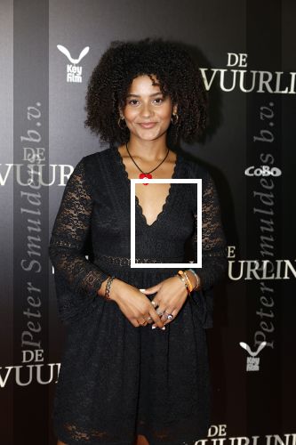 Amsterdam 11 september 2023
Premiere de Vuurlinie in Thuschinski Amsterdam .  Stephanie van Eer