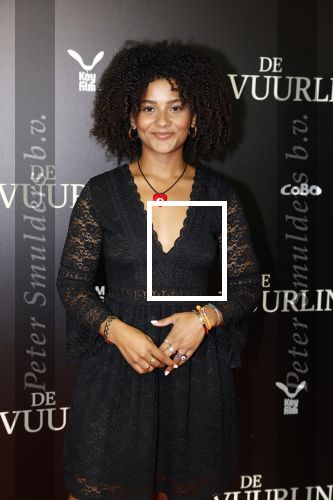 Amsterdam 11 september 2023
Premiere de Vuurlinie in Thuschinski Amsterdam .  Stephanie van Eer