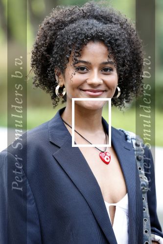 Hilversum 29 augustus 2023
Presentatie nieuwe tv seizoen NPO bij studio 21 op het mediapark.
Stephanie v Eer