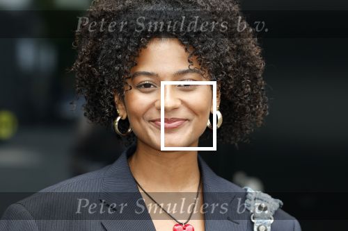 Hilversum 29 augustus 2023
Presentatie nieuwe tv seizoen NPO bij studio 21 op het mediapark.
Stephanie v Eer