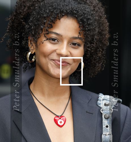 Hilversum 29 augustus 2023
Presentatie nieuwe tv seizoen NPO bij studio 21 op het mediapark.
Stephanie v Eer