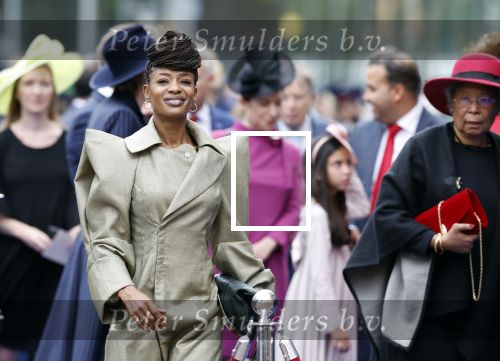 Den Haag 19 september 2023
Prinsjesdag 2023. Sylvana Simons kwam met haar moeder