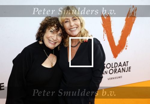 Katwijk 8 september 2024
Premiere Soldaat van Oranje in de Hangaar . Angela Groothuizen
