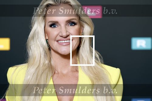 Schiphol 31 september 2024
Winterpresentatie RTL / Videoland in een tent achter Hotel v d Valk bij Schiphol . Angela v d Brink