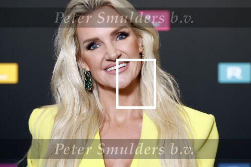 Schiphol 31 september 2024
Winterpresentatie RTL / Videoland in een tent achter Hotel v d Valk bij Schiphol . Angela v d Brink