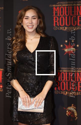 Utrecht 19 september 2024
Premiere Moulin Rouge in het Beatrix theater. Anique Dreamon
