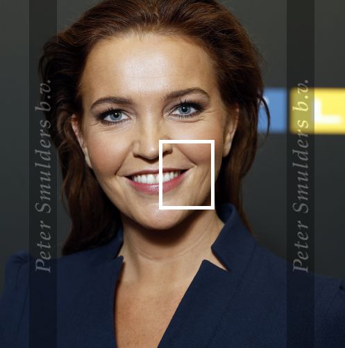 Schiphol 31 september 2024
Winterpresentatie RTL / Videoland in een tent achter Hotel v d Valk bij Schiphol . Anita Nederhof
