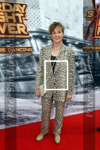 Den Bosch 29 september 2024
Premiere Saturday night fever in de Parade in Den Bosch . Anne Mieke Ruyten
