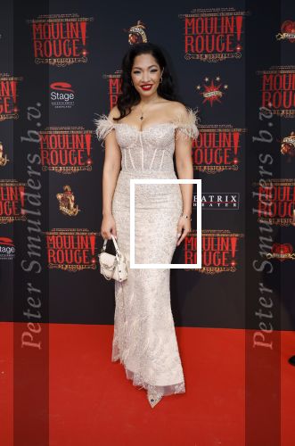 Utrecht 19 september 2024
Premiere Moulin Rouge in het Beatrix theater. April Darby met partner