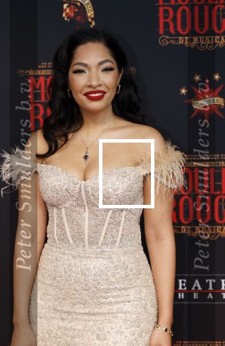 Utrecht 19 september 2024
Premiere Moulin Rouge in het Beatrix theater. April Darby met partner
