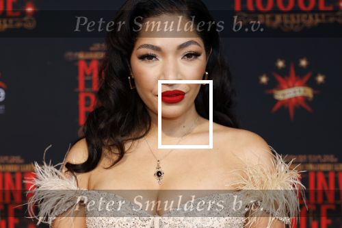 Utrecht 19 september 2024
Premiere Moulin Rouge in het Beatrix theater. April Darby met partner