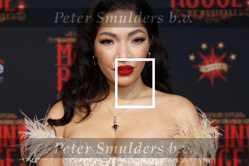 Utrecht 19 september 2024
Premiere Moulin Rouge in het Beatrix theater. April Darby met partner