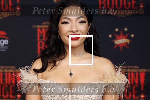 Utrecht 19 september 2024
Premiere Moulin Rouge in het Beatrix theater. April Darby met partner