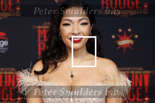Utrecht 19 september 2024
Premiere Moulin Rouge in het Beatrix theater. April Darby met partner