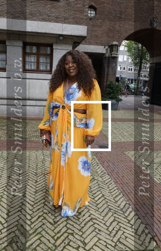 Amsterdam 9september 2024
Strong women award in hotel The Grand . Berget Lewis