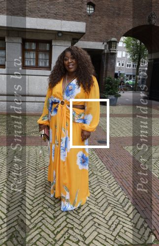 Amsterdam 9september 2024
Strong women award in hotel The Grand . Berget Lewis
