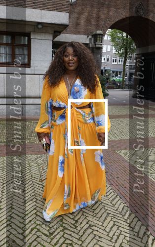 Amsterdam 9september 2024
Strong women award in hotel The Grand . Berget Lewis