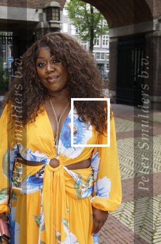 Amsterdam 9september 2024
Strong women award in hotel The Grand . Berget Lewis