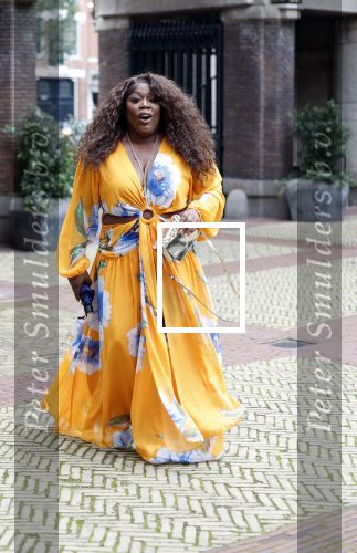 Amsterdam 9september 2024
Strong women award in hotel The Grand . Berget Lewis