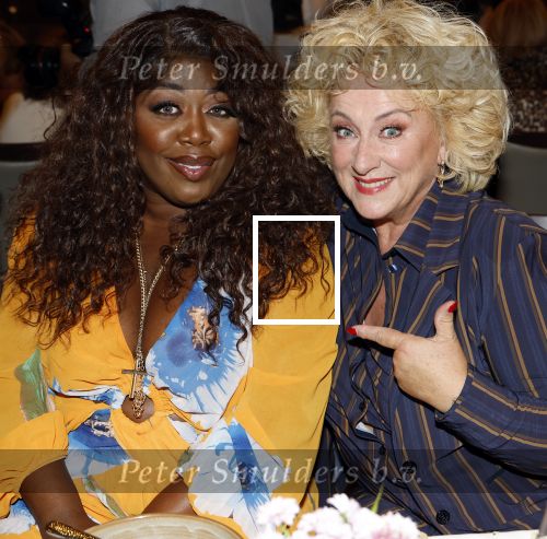 Amsterdam 9september 2024
Strong women award in hotel The Grand .  Berget Lewis en Karin Bloemen