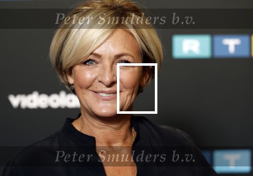 Schiphol 31 september 2024
Winterpresentatie RTL / Videoland in een tent achter Hotel v d Valk bij Schiphol . caroline Tensen