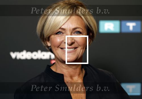 Schiphol 31 september 2024
Winterpresentatie RTL / Videoland in een tent achter Hotel v d Valk bij Schiphol . caroline Tensen