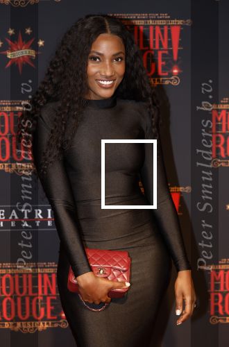Utrecht 19 september 2024
Premiere Moulin Rouge in het Beatrix theater. Cherry Ann Person