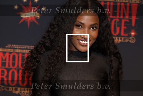 Utrecht 19 september 2024
Premiere Moulin Rouge in het Beatrix theater. Cherry Ann Person