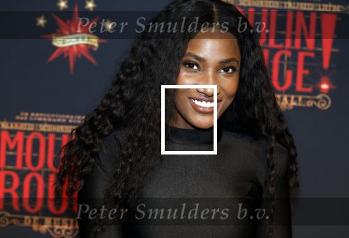 Utrecht 19 september 2024
Premiere Moulin Rouge in het Beatrix theater. Cherry Ann Person