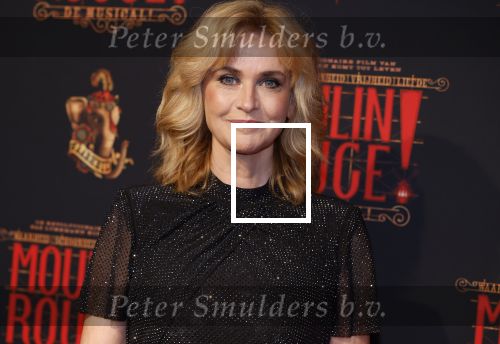 Utrecht 19 september 2024
Premiere Moulin Rouge in het Beatrix theater. daphne Deckers kwam met een vriendin