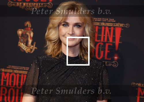 Utrecht 19 september 2024
Premiere Moulin Rouge in het Beatrix theater. daphne Deckers kwam met een vriendin