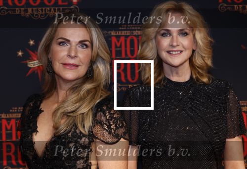 Utrecht 19 september 2024
Premiere Moulin Rouge in het Beatrix theater. daphne Deckers kwam met een vriendin