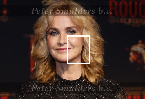 Utrecht 19 september 2024
Premiere Moulin Rouge in het Beatrix theater. daphne Deckers kwam met een vriendin