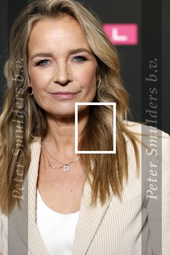 Schiphol 31 september 2024
Winterpresentatie RTL / Videoland in een tent achter Hotel v d Valk bij Schiphol . Daphne Lammers