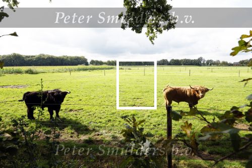Den Dungen 23 september 2024
Met Matthijs Albers op bezoek bij de boerderij van NZV deelneemster Deedry Heijmans . Matthijs sprak haar avder.