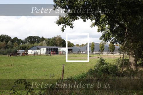 Den Dungen 23 september 2024
Met Matthijs Albers op bezoek bij de boerderij van NZV deelneemster Deedry Heijmans . Matthijs sprak haar avder.