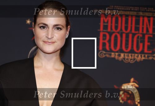 Utrecht 19 september 2024
Premiere Moulin Rouge in het Beatrix theater. Desi van Doeveren