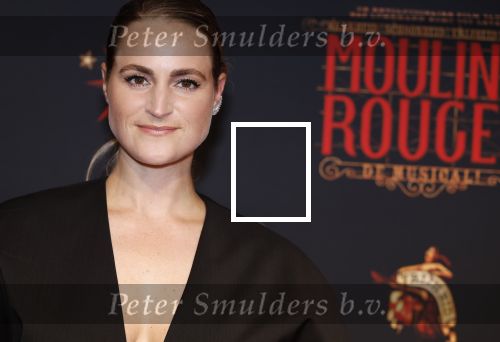 Utrecht 19 september 2024
Premiere Moulin Rouge in het Beatrix theater. Desi van Doeveren