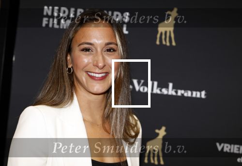 Utrecht 20 september 2024
Premiere Witte Flits tijdens de openings avond van de Filmdagen in Utrecht . Dilan Yurdakul