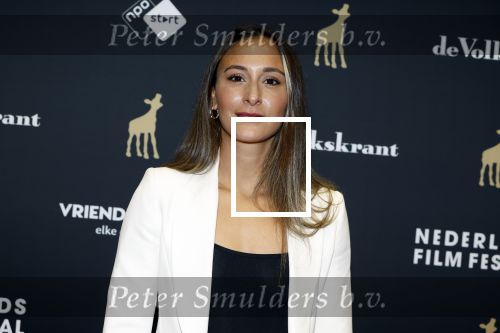 Utrecht 20 september 2024
Premiere Witte Flits tijdens de openings avond van de Filmdagen in Utrecht . Dilan Yurdakul