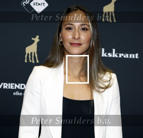 Utrecht 20 september 2024
Premiere Witte Flits tijdens de openings avond van de Filmdagen in Utrecht . Dilan Yurdakul