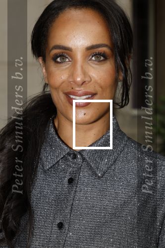 Amsterdam 9september 2024
Strong women award in hotel The Grand .  Dyantha Brooks