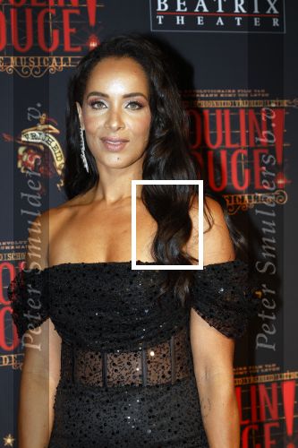 Utrecht 19 september 2024
Premiere Moulin Rouge in het Beatrix theater. Dyantha Brooks en Robin Pors
