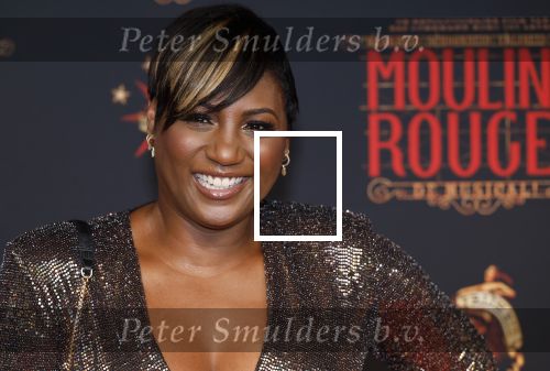 Utrecht 19 september 2024
Premiere Moulin Rouge in het Beatrix theater. Edsilia Rombley