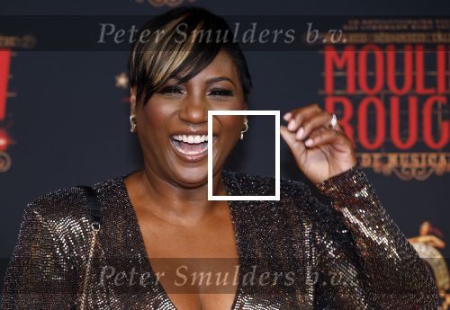 Utrecht 19 september 2024
Premiere Moulin Rouge in het Beatrix theater. Edsilia Rombley