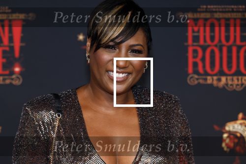 Utrecht 19 september 2024
Premiere Moulin Rouge in het Beatrix theater. Edsilia Rombley