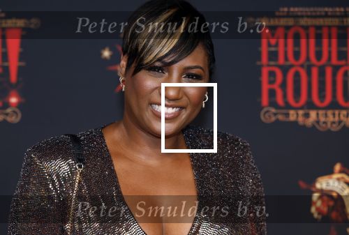 Utrecht 19 september 2024
Premiere Moulin Rouge in het Beatrix theater. Edsilia Rombley