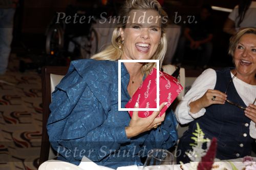 Amsterdam 9september 2024
Strong women award in hotel The Grand . Eveline Stallart